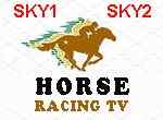 Horse Racing Tv Free